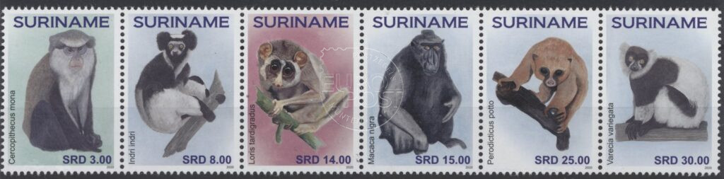 Suriname 2020 Apen ZB 2612-2617 Postfris
