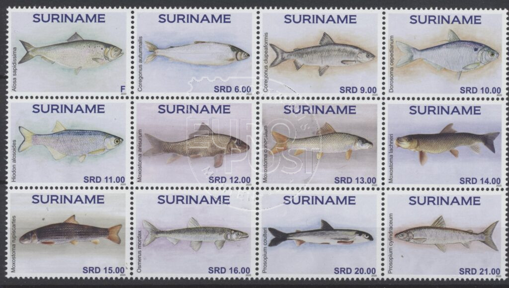 Suriname 2020 Pesce ZB 2595-2606 nuovi membri