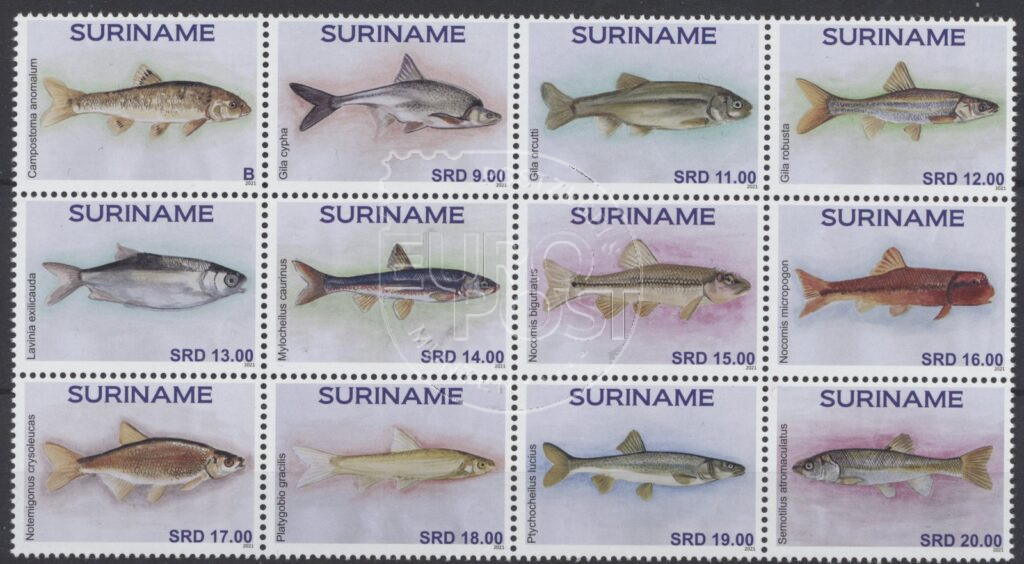 Surinam 2021 Pescado ZB 2703-2714 MNT